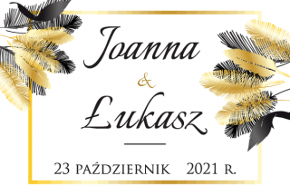Joanna i Łukasz Fotobudka Zajazd Polonez