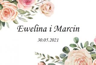 Ewelina i Marcin fotobudka Zespół Pałacowo-Parkowy Ożańsk koło Jarosławia