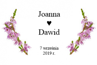 fotobudka Nowy Żmigród