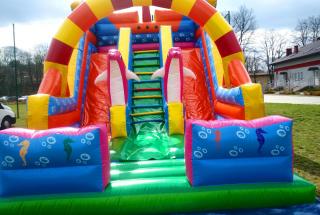 dmuchana zjeżdżalnia delfiny,dmuchańce rzeszów